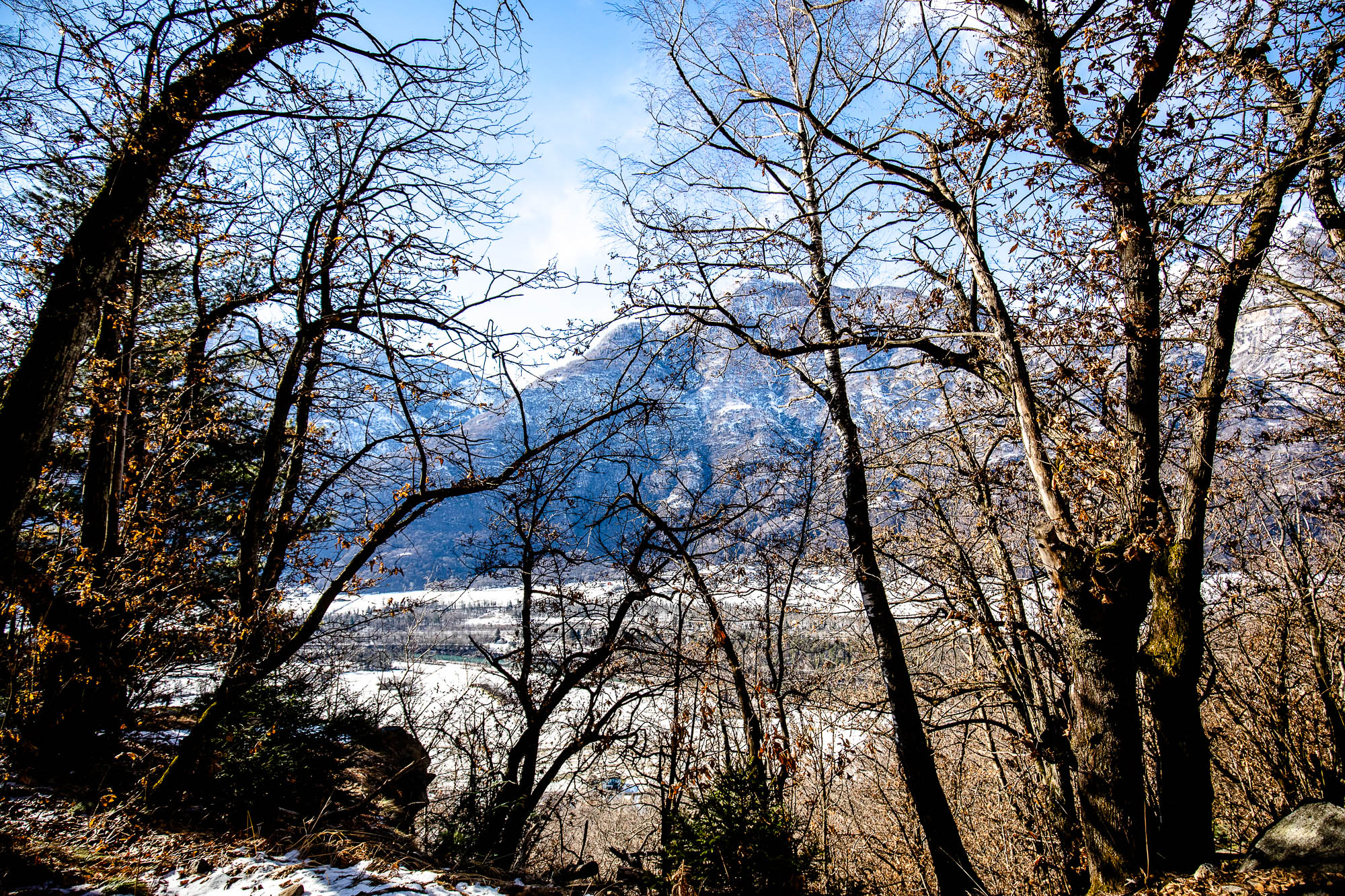 Export x3 5D4 2332 Bouldering Cresciano 2021